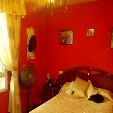 Apartamento Felicia